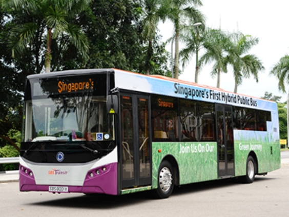 Public Buses